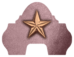 DARAY-L-430-BZ-OR Star Bronze-Orchid